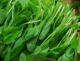 小(xiǎo)白菜